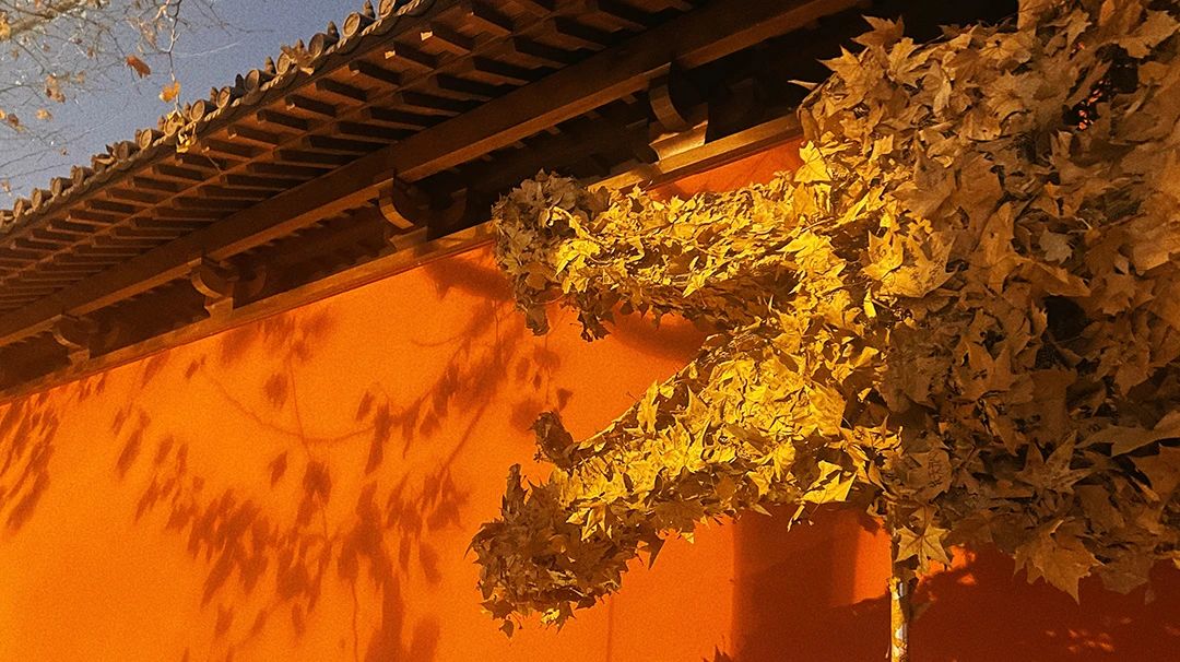 微信圖片_20240518153847.jpg 微信圖片_20240518153847.jpg